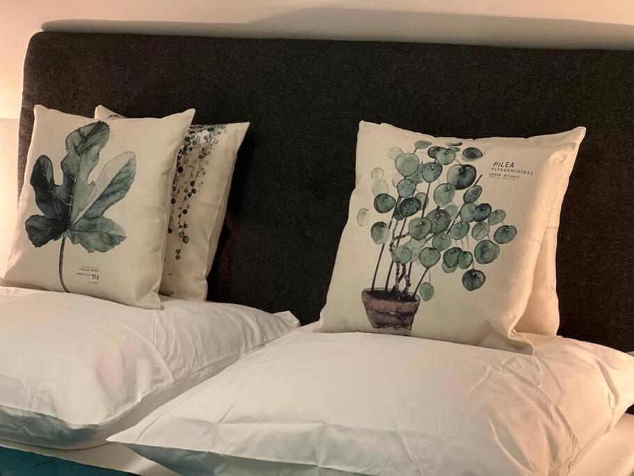 Apartament Historische Mit Garten, Luxus